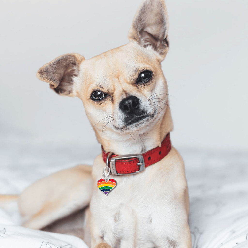 Rainbow Heart Flag Hanging Charms The Awareness Company