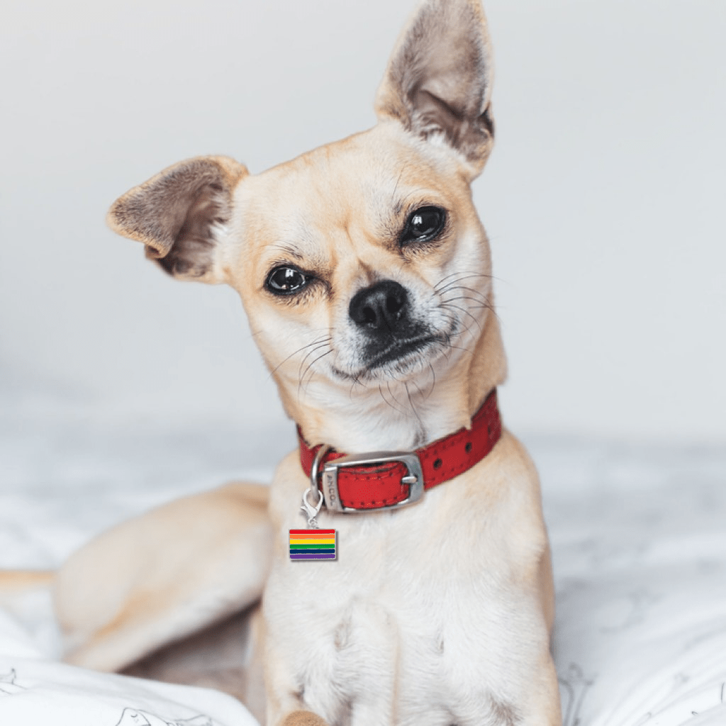 Rainbow Rectangle Flag Hanging Charms The Awareness Company