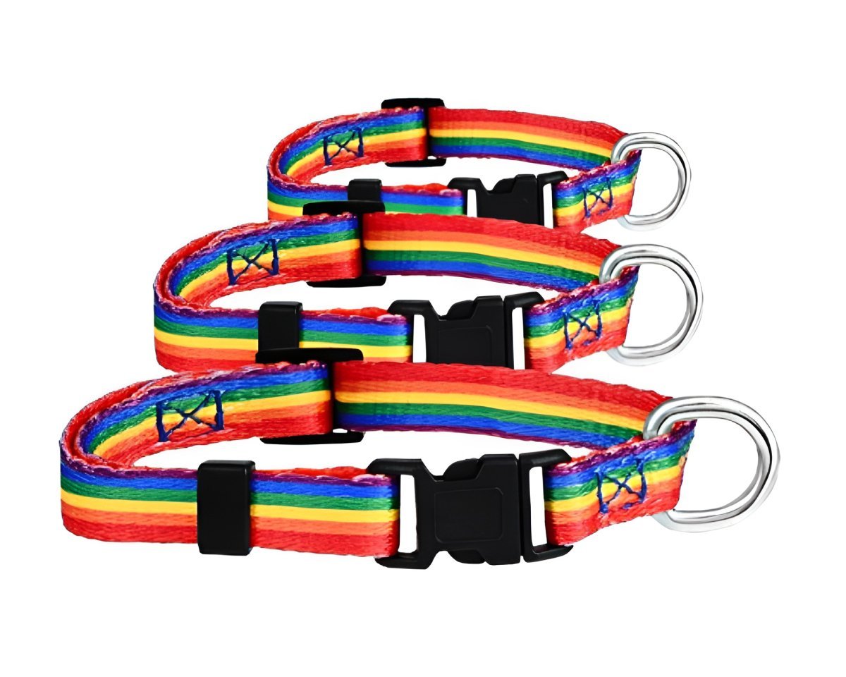 25 Pack Rainbow Striped Extra Large Dog/Cat/Pet Collars The Awareness Company
