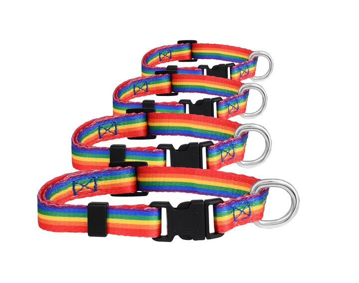 25 Pack Rainbow Striped Extra Large Dog/Cat/Pet Collars The Awareness Company