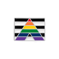 Rectangle Straight Ally Flag Pins The Awareness Company
