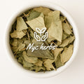 Mango Leaf | Blood Sugar Balance & Circulatory Support NYC Herbs®