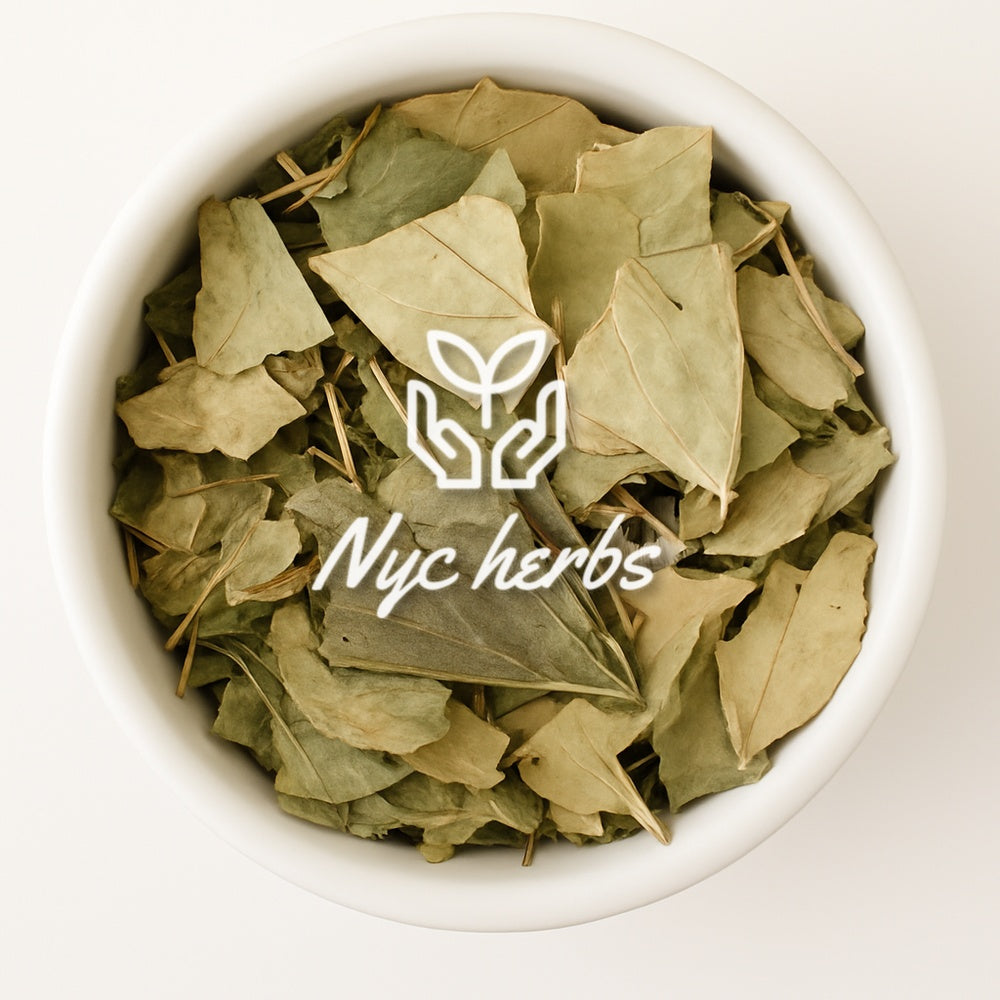 Mango Leaf | Blood Sugar Balance & Circulatory Support NYC Herbs®