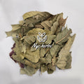 Guava Leaf | Blood Sugar Balance & Digestive Support NYC Herbs®