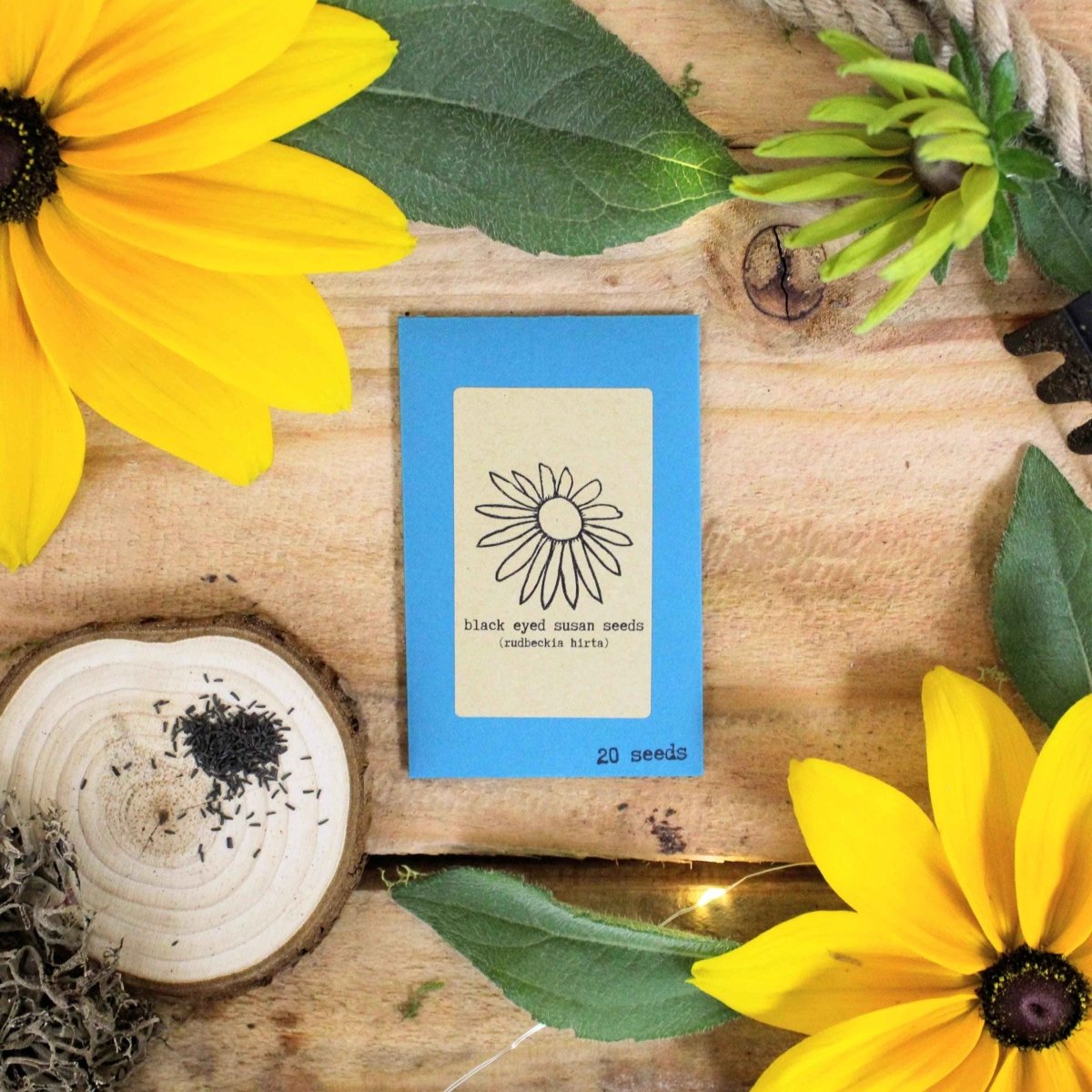 Rudbeckia Hirta "Black Eyed Susan" Seeds Plantflix