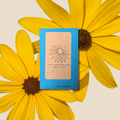 Rudbeckia Hirta "Black Eyed Susan" Seeds Plantflix