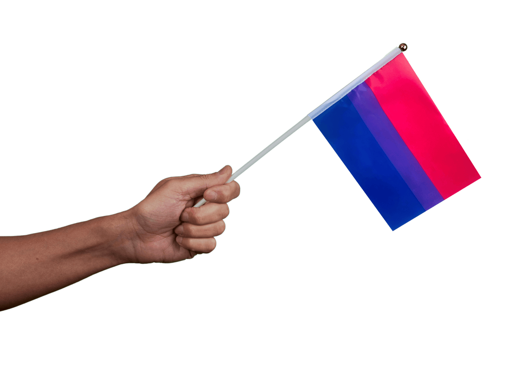Small Bisexual Flags on a Stick The Awareness Company