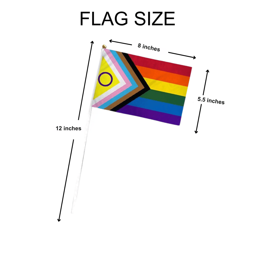 Small Daniel Quasar Progress Pride Intersex-Inclusive Flags on a Stick The Awareness Company