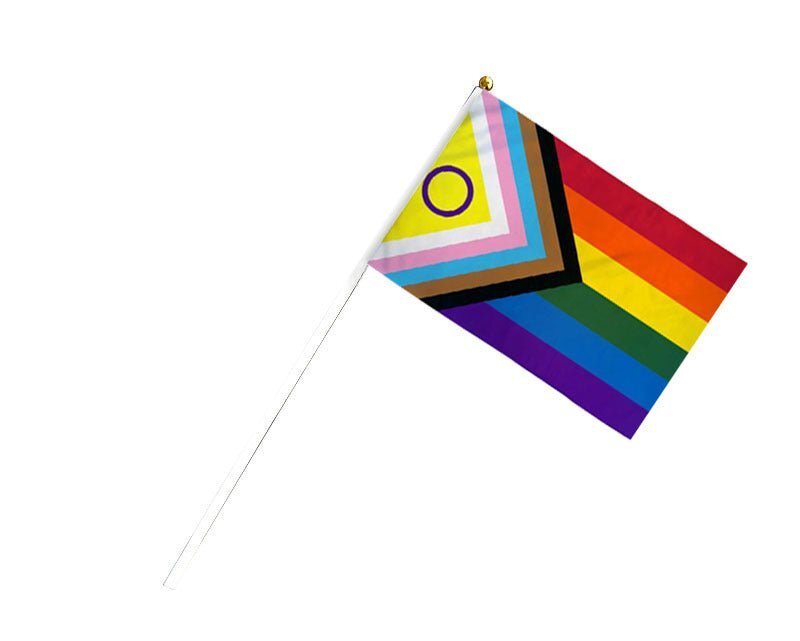 Small Daniel Quasar Progress Pride Intersex-Inclusive Flags on a Stick The Awareness Company