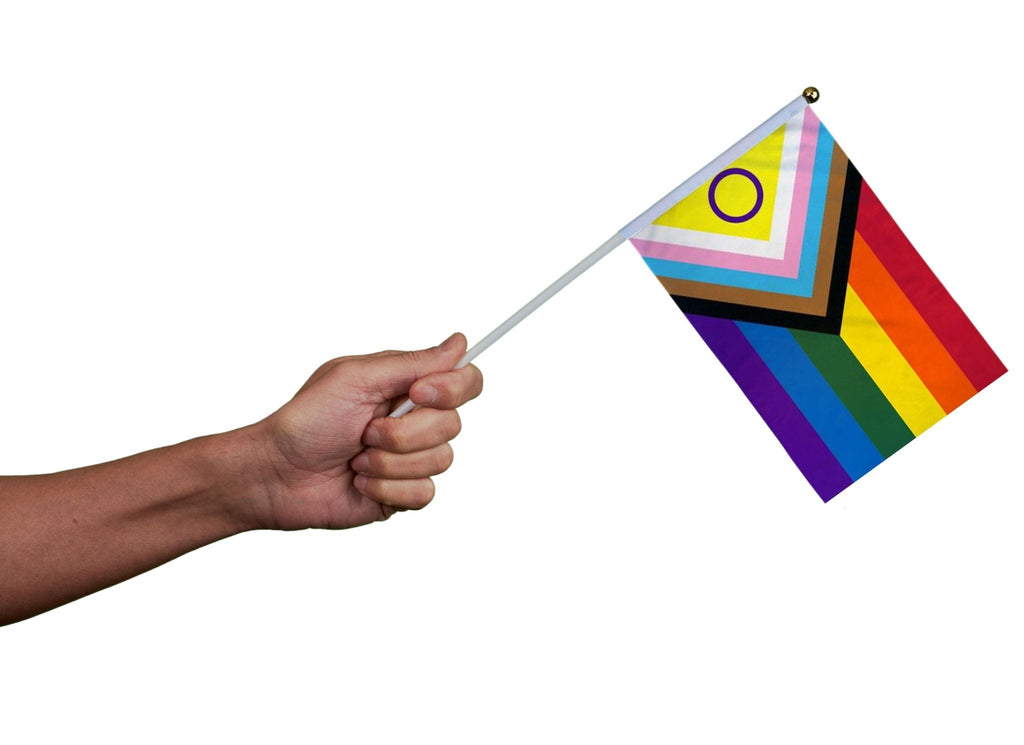Small Daniel Quasar Progress Pride Intersex-Inclusive Flags on a Stick The Awareness Company