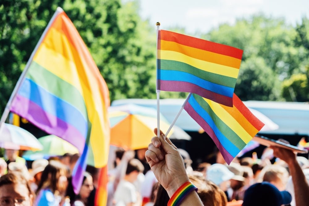 Small Rainbow Flags on a Stick The Awareness Company