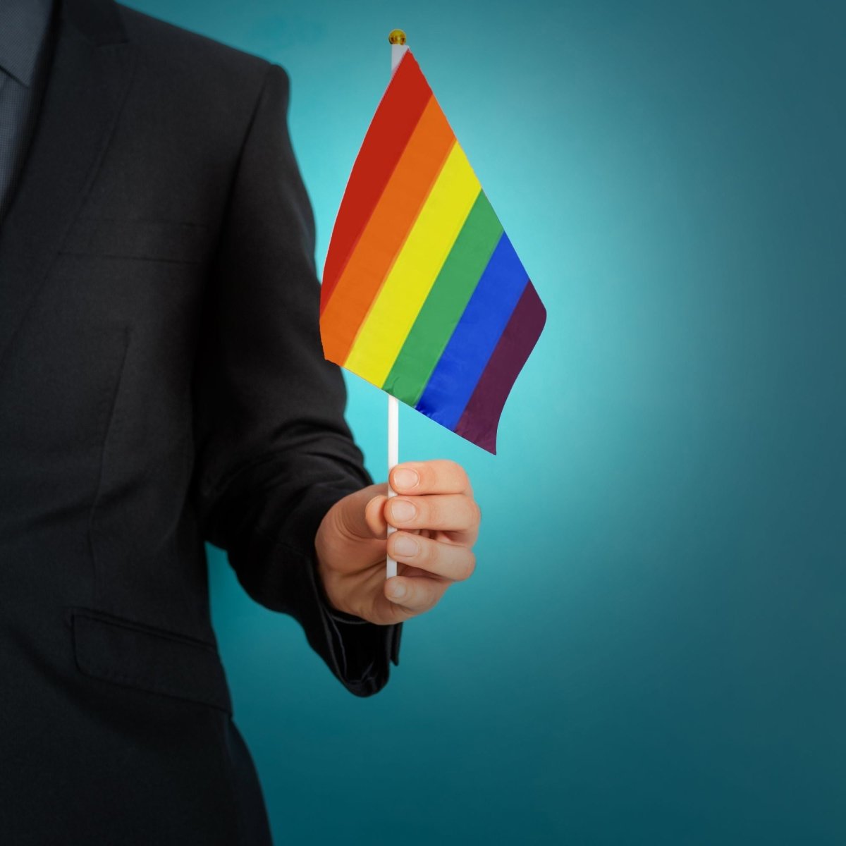 10 Pack Small Rainbow Flags on a Stick The Awareness Company
