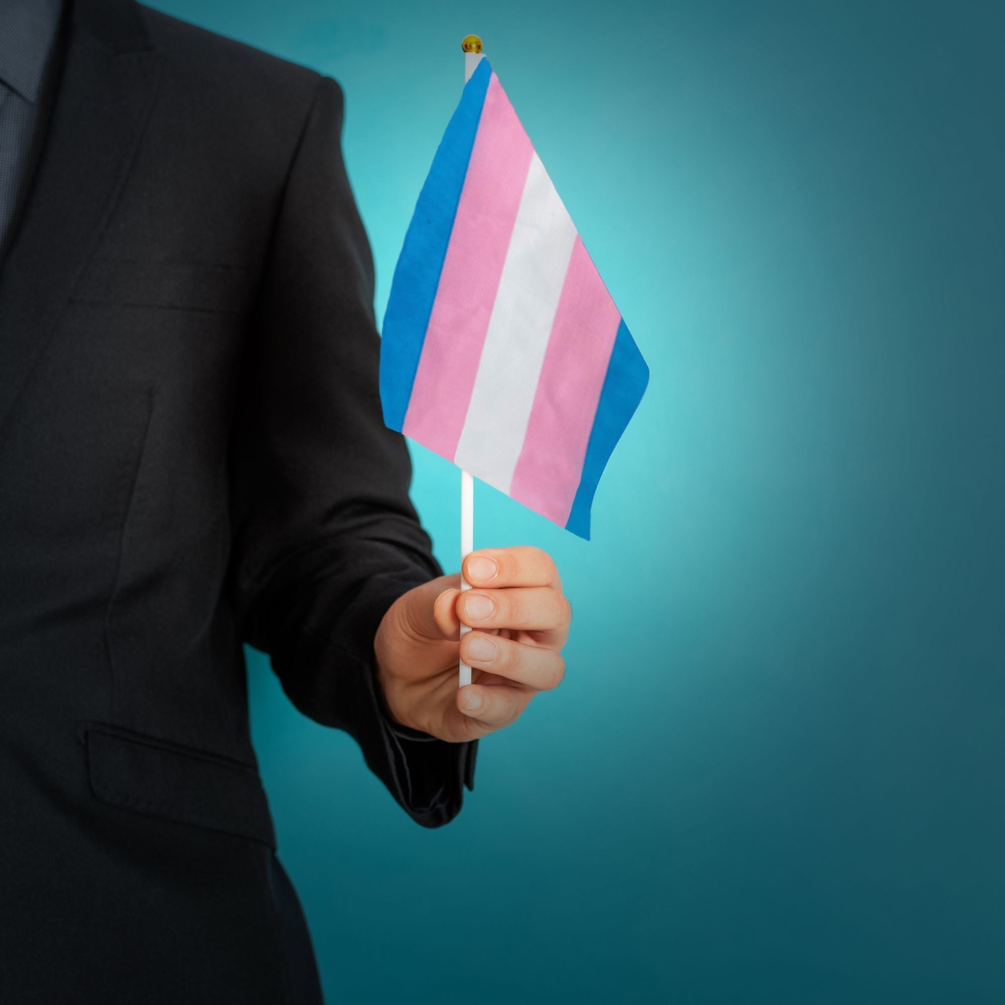 10 Pack Small Transgender Flags on a Stick The Awareness Company