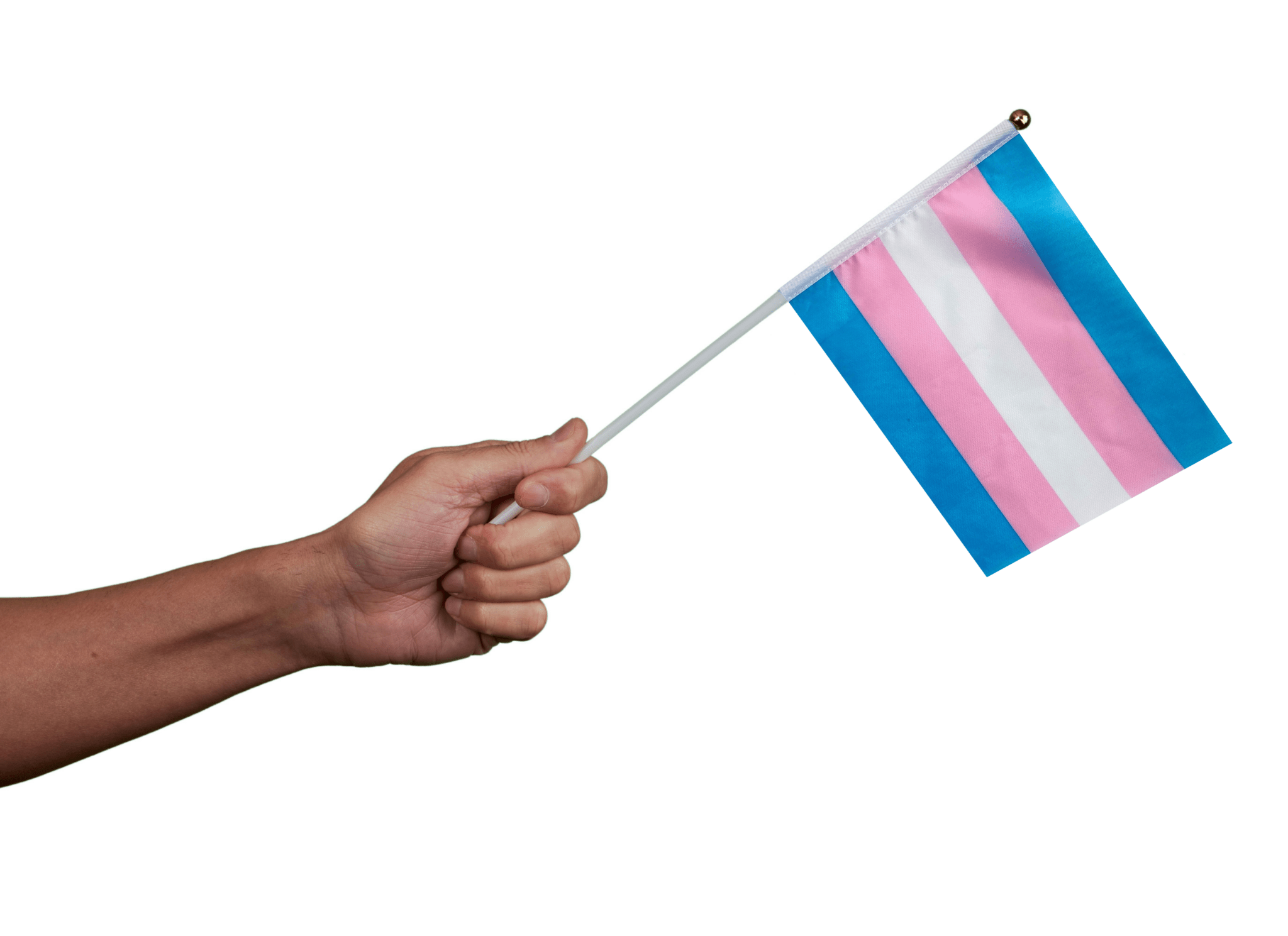 10 Pack Small Transgender Flags on a Stick The Awareness Company