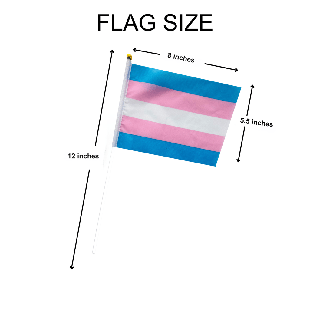 10 Pack Small Transgender Flags on a Stick The Awareness Company
