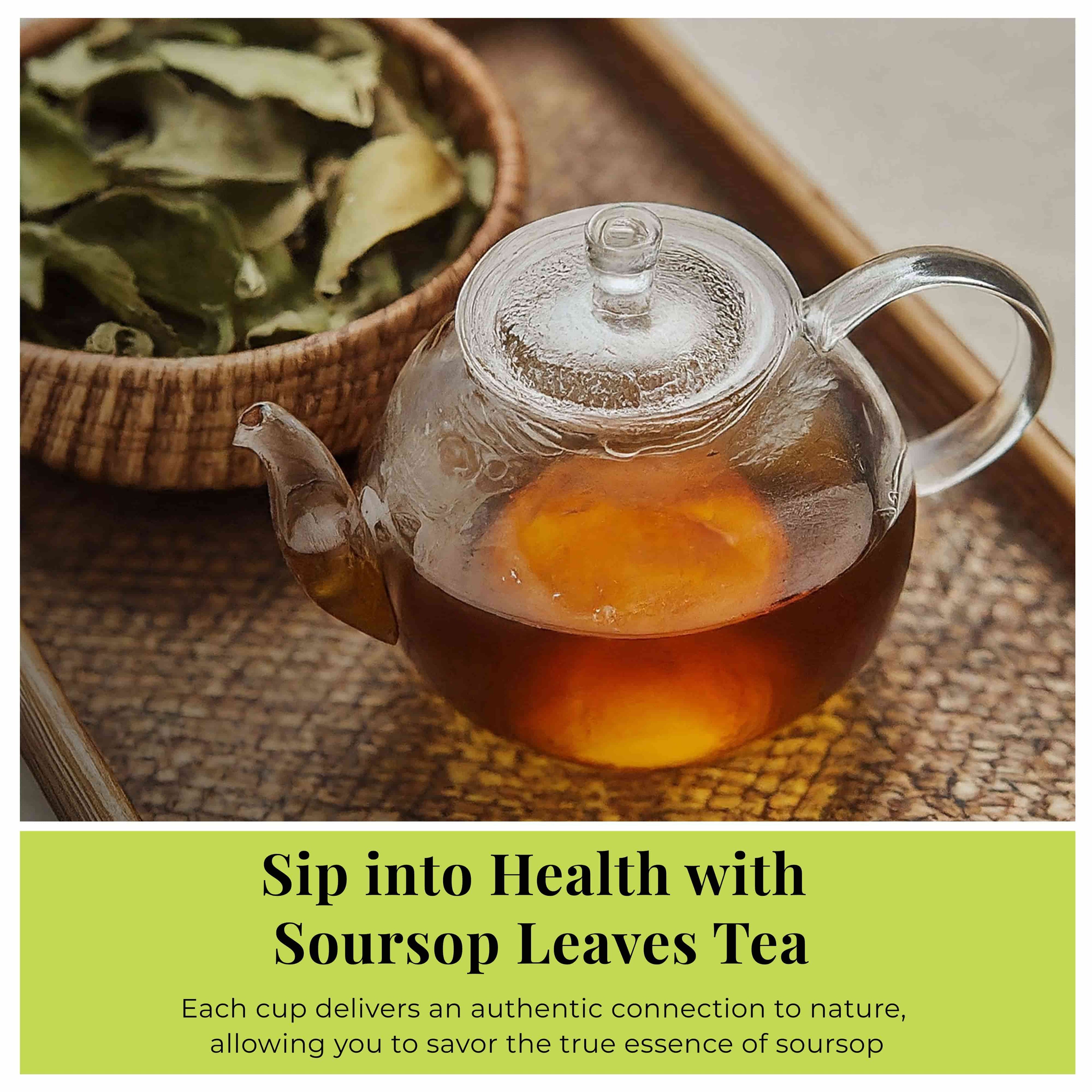 200+ Whole Dried Soursop Leaves – 2.6 oz , 100% Natural Soursop Tea (Graviola Leaves), Caffeine-Free Herbal Tea (Hoja Guanabana) Akshit
