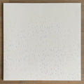 Stephan Mathieu - FrequencyLib / Sad Mac Studies | Mint (M) Mint (M) Love Vinyl Records