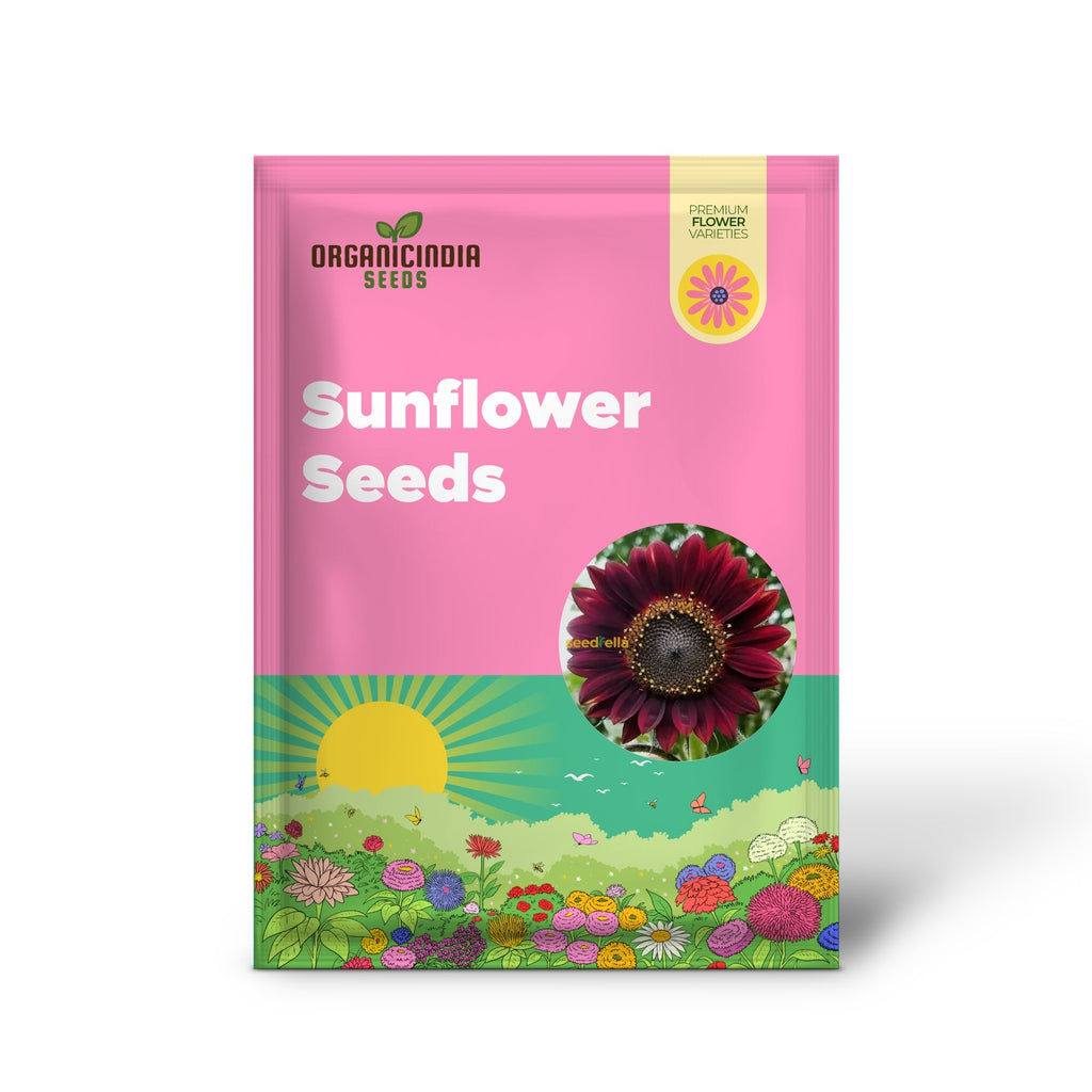 Dark Red Sunflower Seeds for Planting - Add Bold, Vibrant Blooms to Your Garden organicindiaseeds