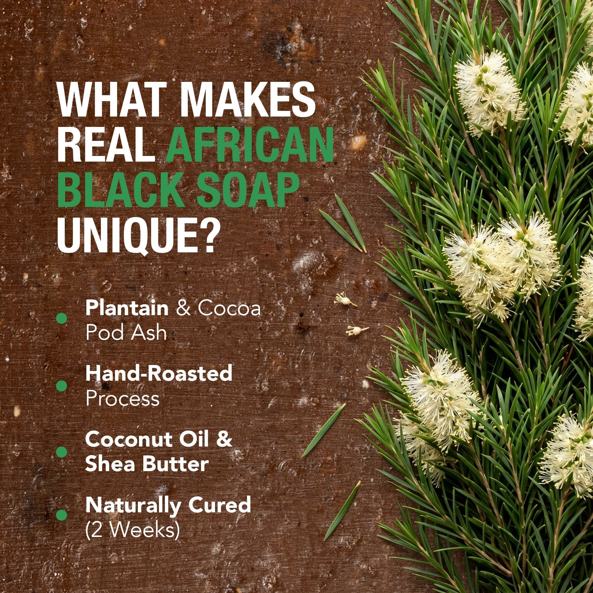 100% African Black Soap - Tea Tree AshantiNaturals