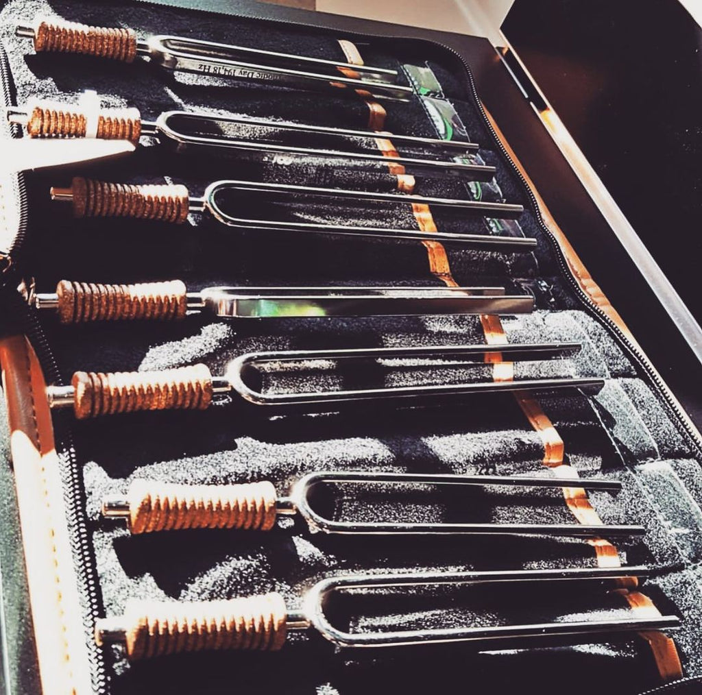 7 Chakra Healing Tuning Fork Set with Travel Case Sound Healing LAB