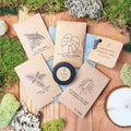 "The Popular Kids" Houseplant Seed Collection Plantflix