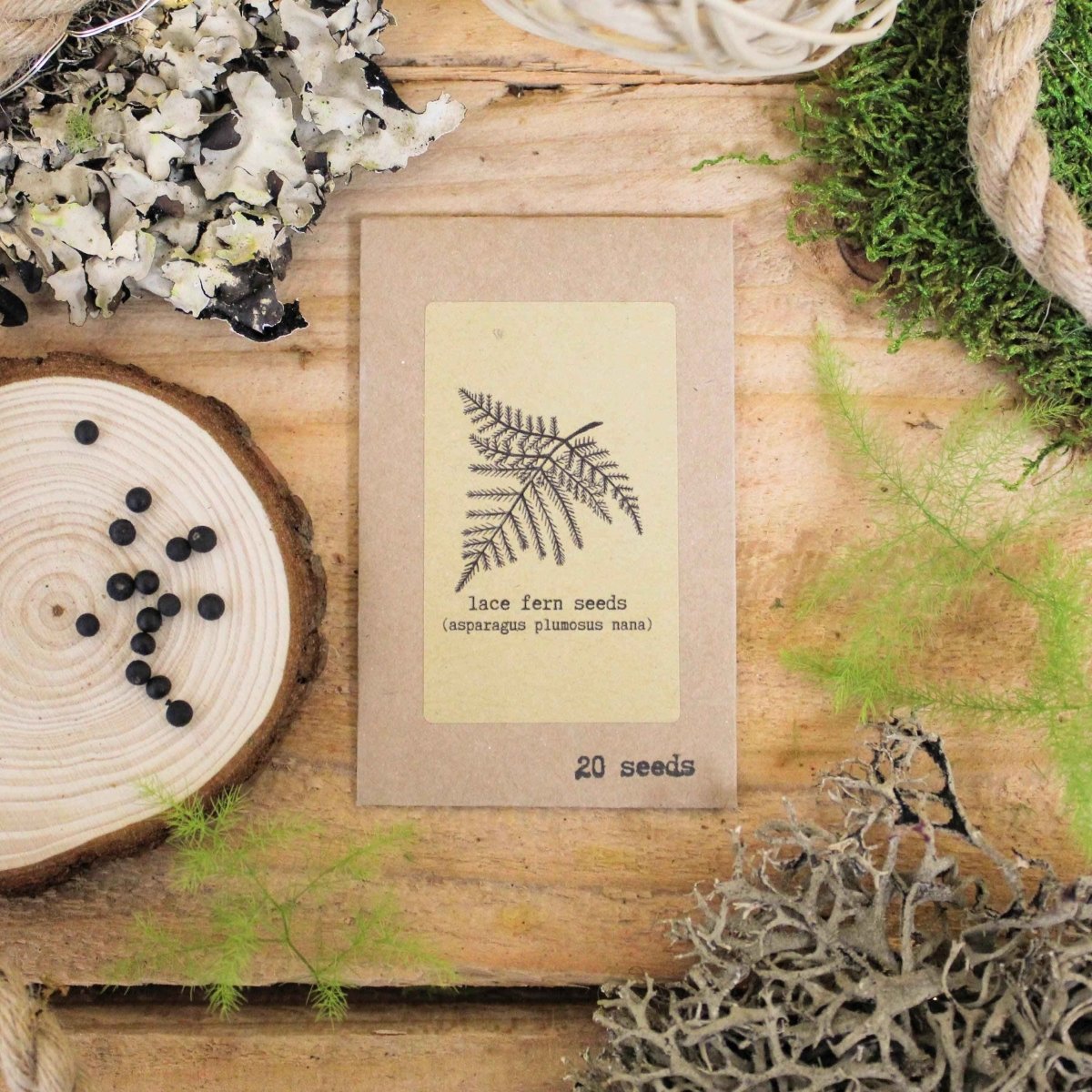"The Popular Kids" Houseplant Seed Collection Plantflix