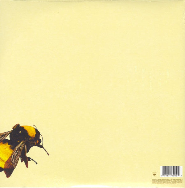 Tyler, The Creator - Scum Fuck Flower Boy | Mint (M) Mint (M) Love Vinyl Records