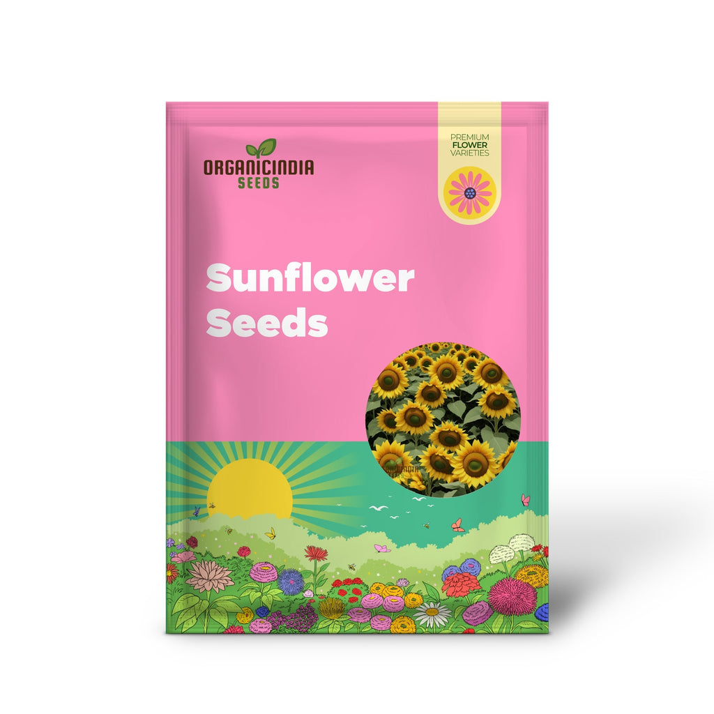 Sunflower Seeds – Tall Growing Variety for Vibrant Garden Blooms organicindiaseeds