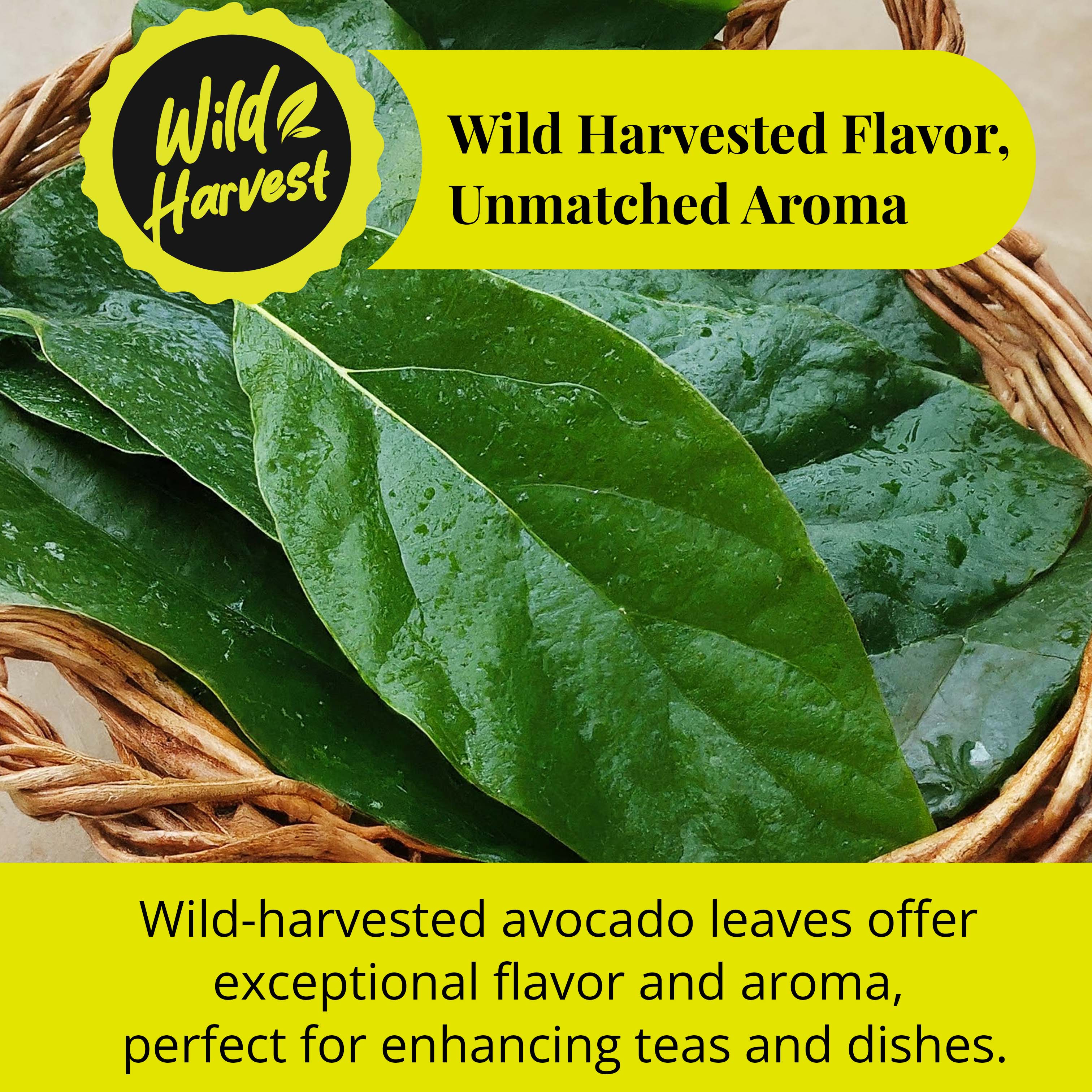 Dried Avocado Leaves, (Hojas De Aguacate) - 2.6oz (75gm). Makes 28 cups Akshit