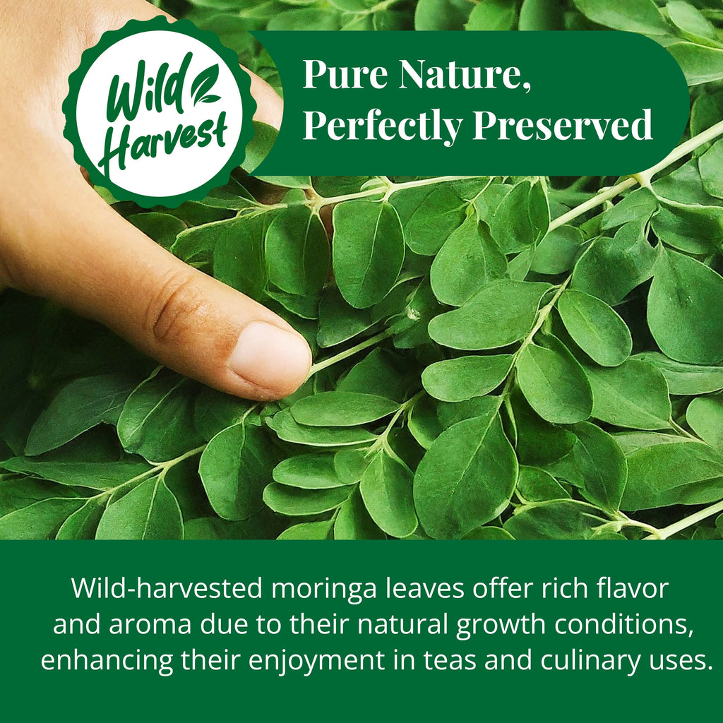 Akshit Moringa (Oleifera) Tea Leaves – Herbal Tea, 100% Natural Moringa Leaves, Boosts Energy & Immunity - 2.6 oz Akshit