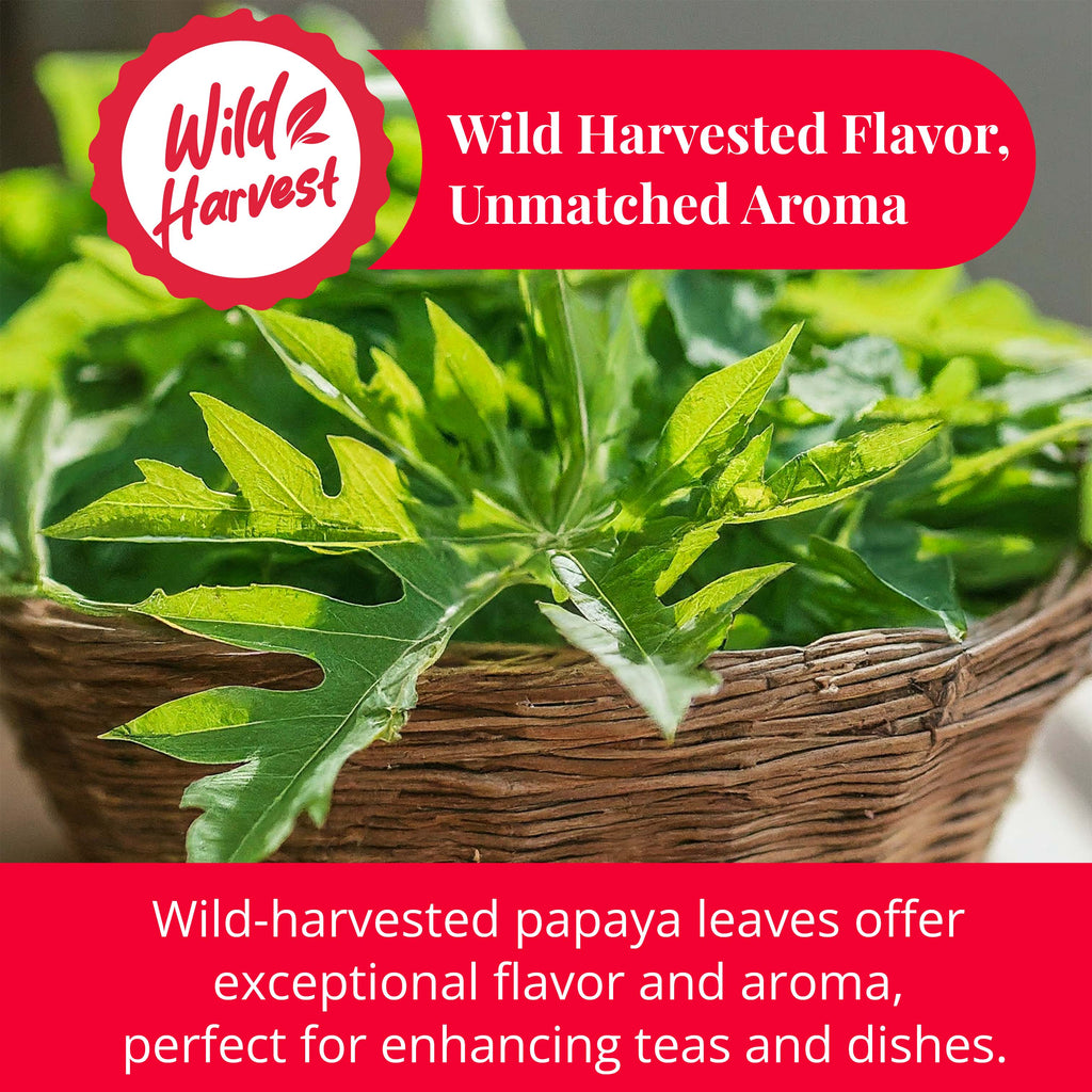 Akshit Papaya Leaves, Hojas de papaya, 2.6oz, Dried Papaya Leaf, Herbal Tea, Non GMO, Caffeine free, Sugar free, Rich In Vitamins. Akshit