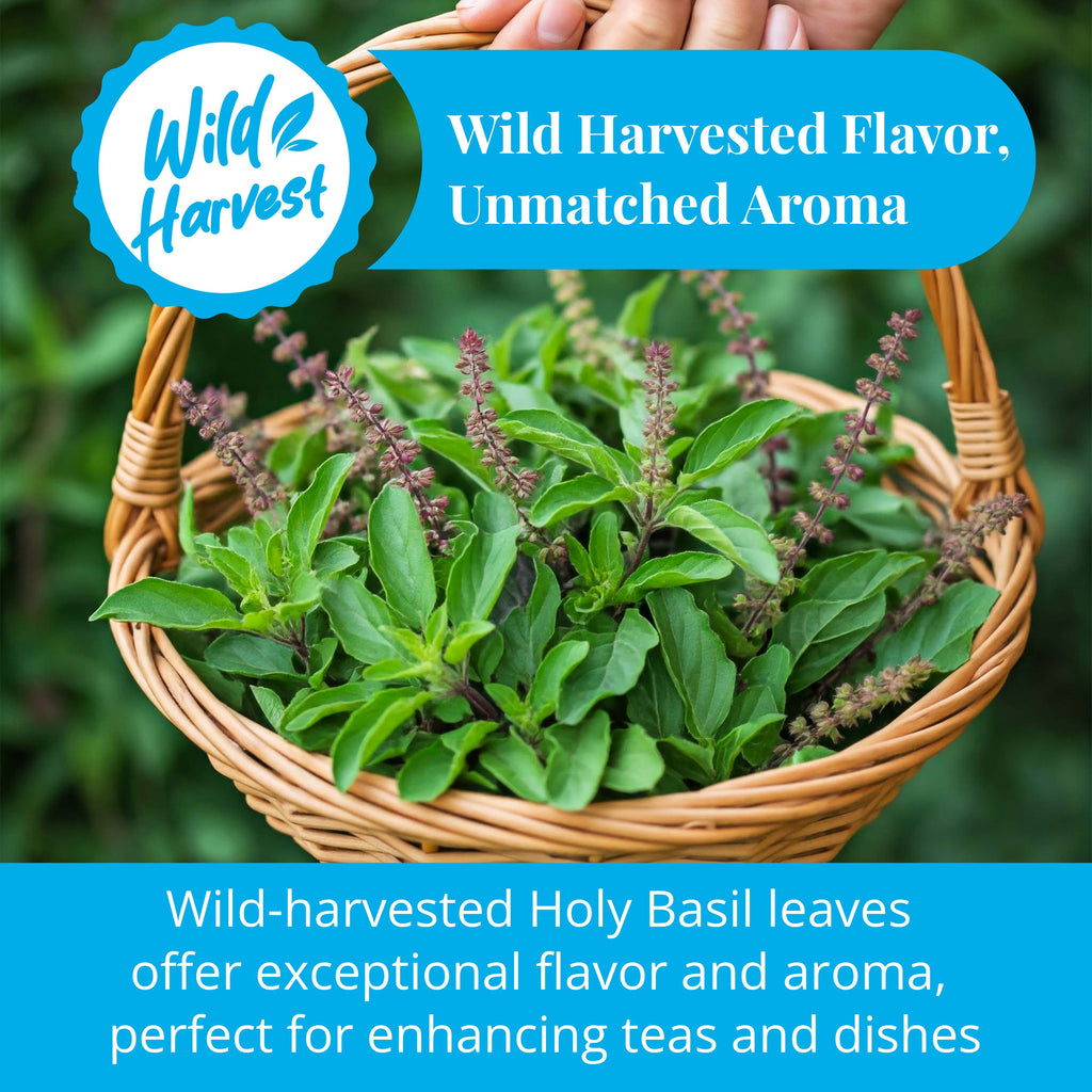 Akshit Dried Tulsi / Holy Basil Leaves | Tulsi Tea | Holy Basil Tea - 2.6oz Akshit