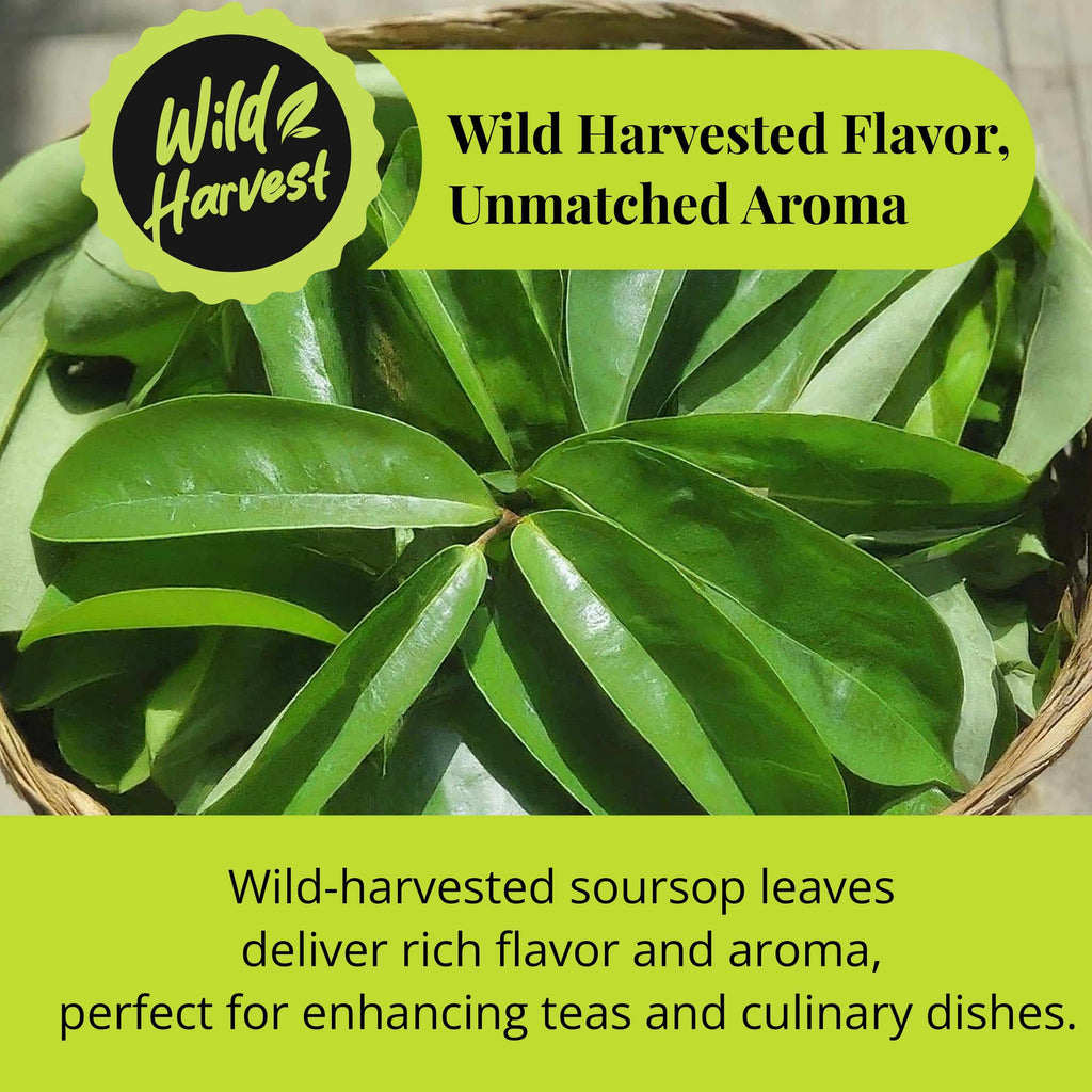 200+ Whole Dried Soursop Leaves – 2.6 oz , 100% Natural Soursop Tea (Graviola Leaves), Caffeine-Free Herbal Tea (Hoja Guanabana) Akshit