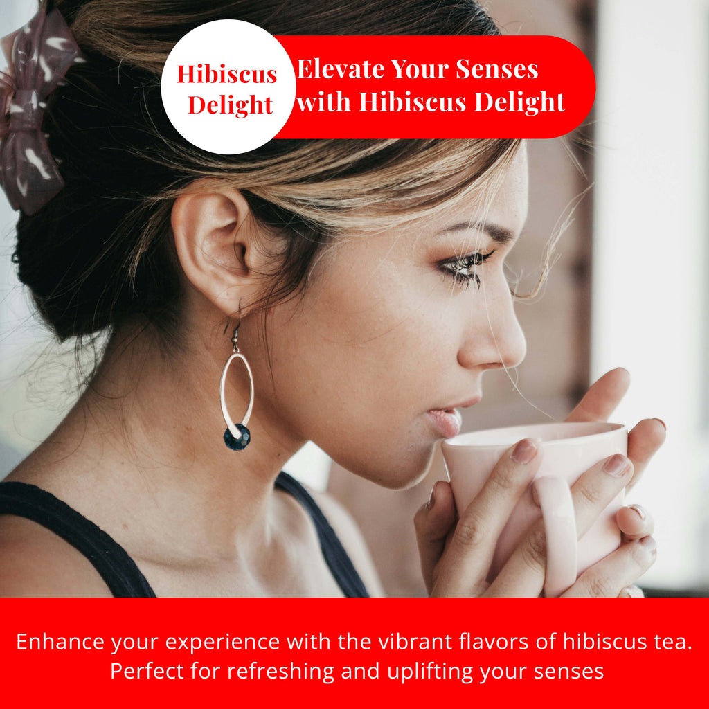 Akshit 50 Hibiscus Ginger Tea Bags – Natural Hibiscus Tea - Stress Relieving & Energy Tea Akshit