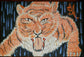 Tiger in the Rain by A.D.M. (Original painting on Canvas)