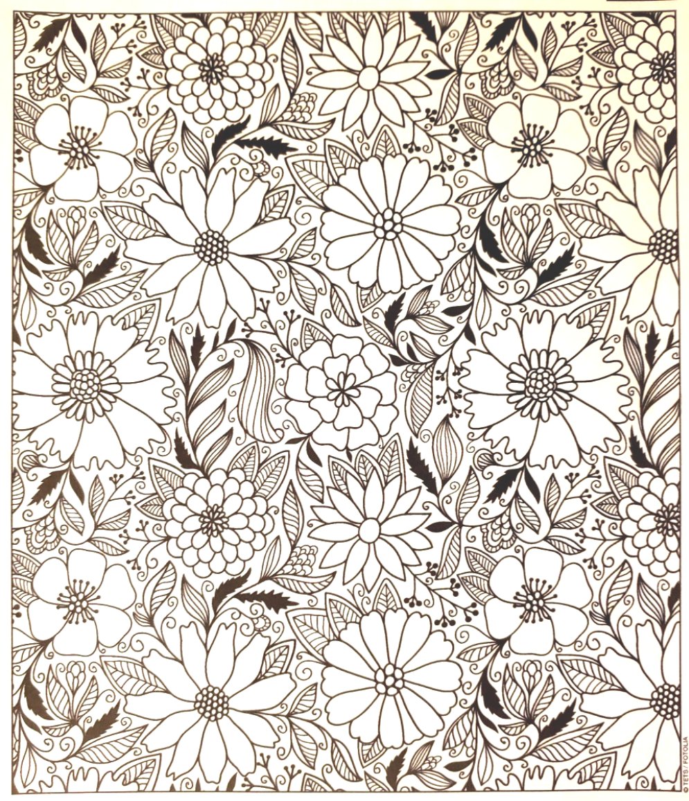 Color Me! - Art Therapy Print Outs