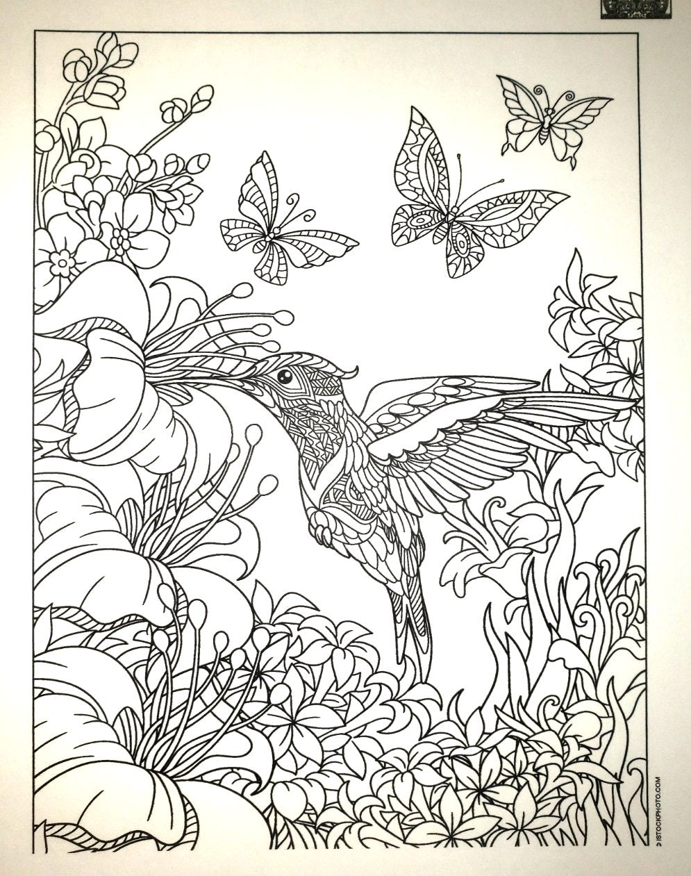 Color Me! - Art Therapy Print Outs