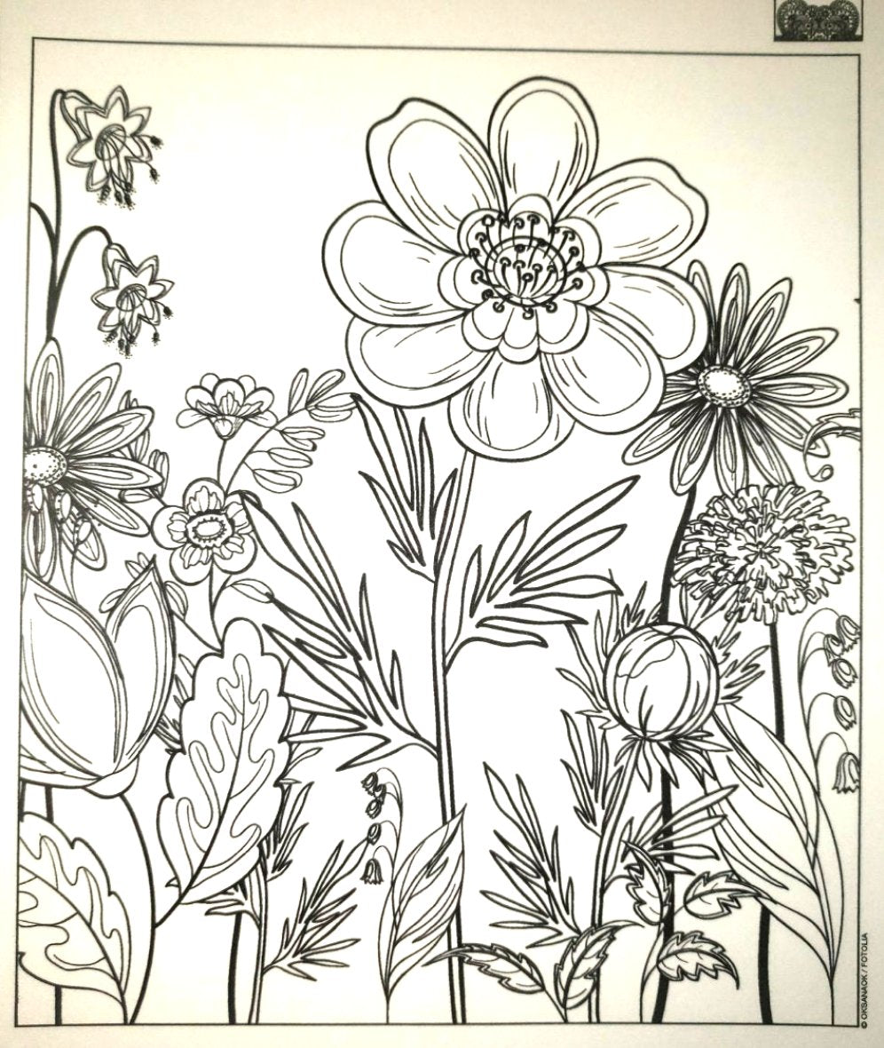 Color Me! - Art Therapy Print Outs