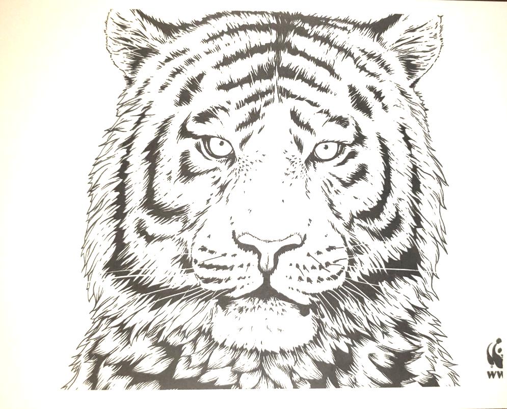 Color Me! - Art Therapy Print Outs