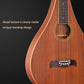 ADM Weissenborn Hollow-Neck Hawaiian-Style Slide Acoustic Guitar for Enthusiasts