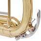 Trumpet Yellow Brass with Gold Lacquer Bb