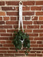 DIY Macrame Plant Hanger Kit - The Evelyn