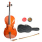 4/4 Retro Style Cello Case Bow Rosin