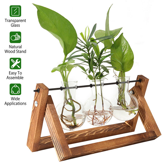 Desktop Glass Planter Bulb Plant Terrarium with Wooden Stand