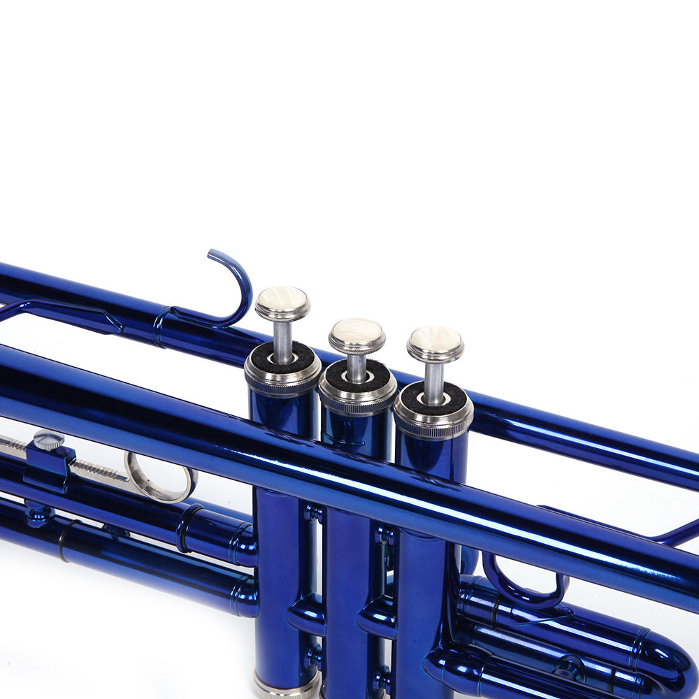 Brass B Flat Trumpet Gloves Set Blue (Copy) Doba