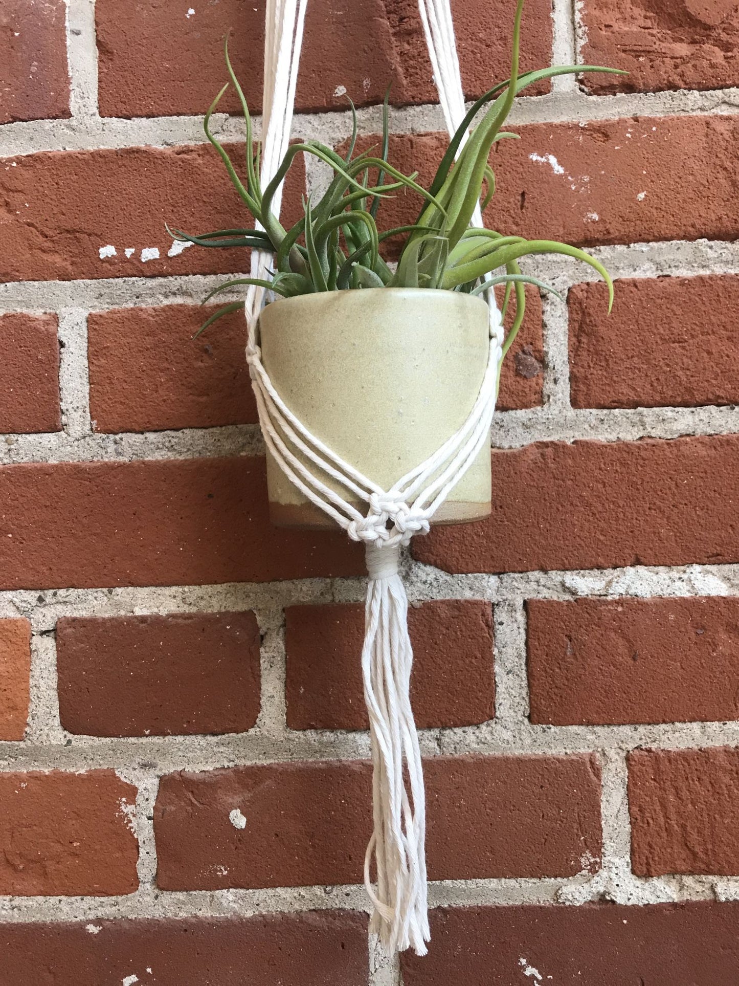 DIY Macrame Plant Hanger Kit - The Evelyn