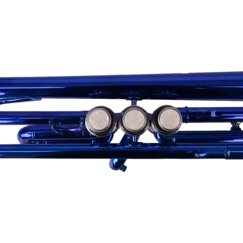 Brass B Flat Trumpet Gloves Set Blue (Copy) Doba