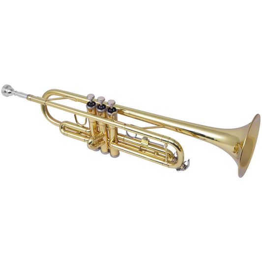 Trumpet Yellow Brass with Gold Lacquer Bb