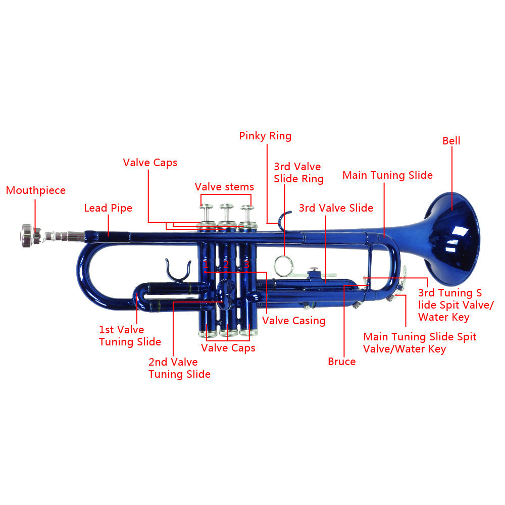 Brass B Flat Trumpet Gloves Set Blue (Copy) Doba