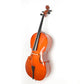 4/4 Retro Style Cello Case Bow Rosin